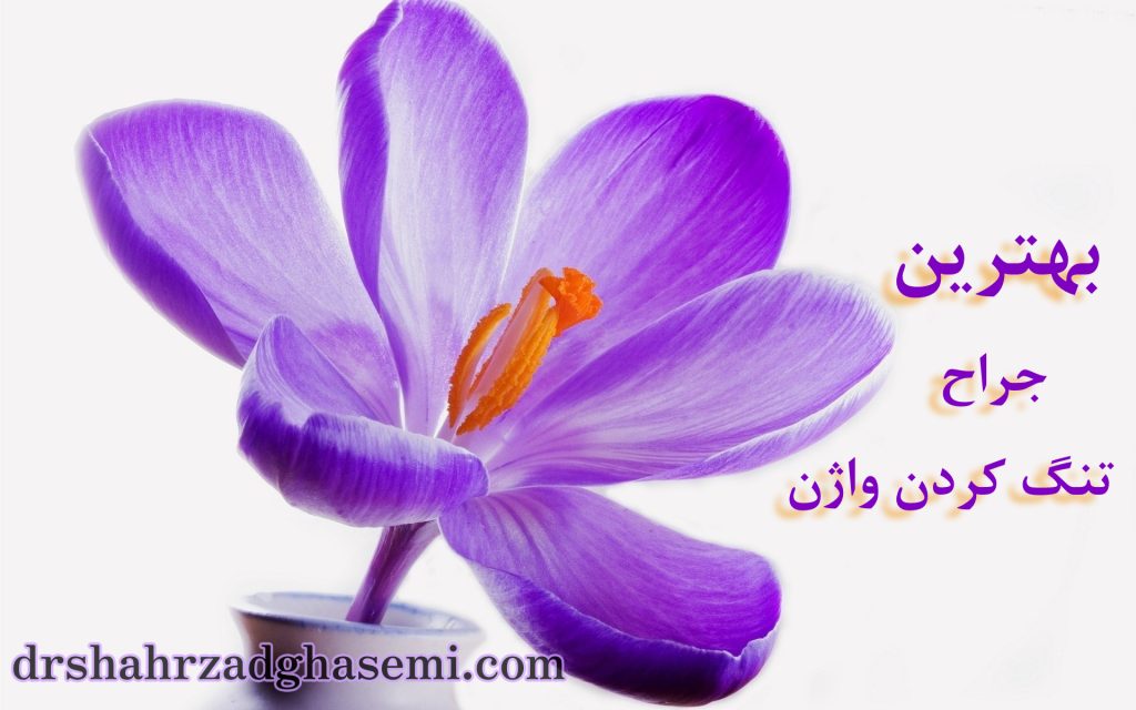 بهترین جراح تنگ کردن واژن در تبریز - واژینوپلاستی در تبریز