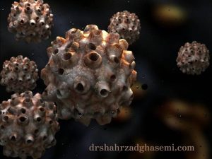 راه های انتقال زگیل تناسلی