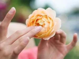 سن مناسب لابیاپلاستی